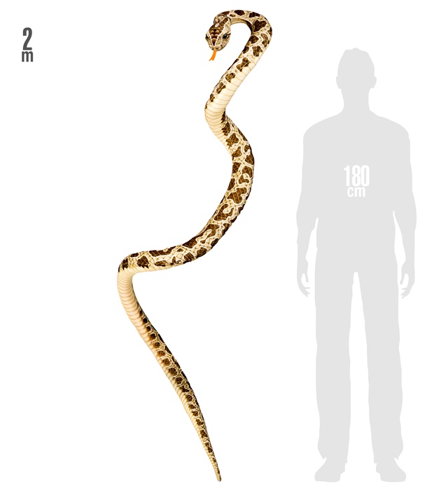 Serpente Pitone Finto in Tessuto 200 cm - immagine 3