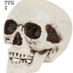 Teschio con mascella mobile,