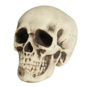 Teschio in gommapiuma 20 cm