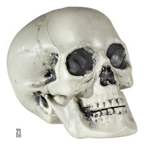 Teschio in plastica 21 cm