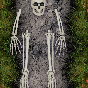 Set ossa di scheletro 5 pezzi