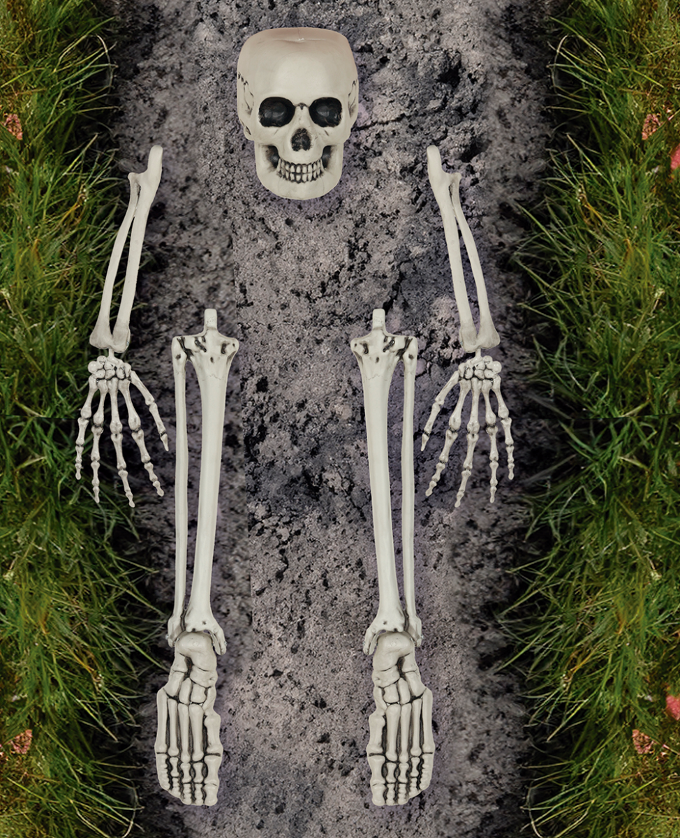 Set ossa di scheletro 5 pezzi - immagine 2