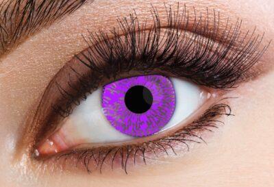 Lenti a Contatto Violet Tint Cosmetiche Mensili