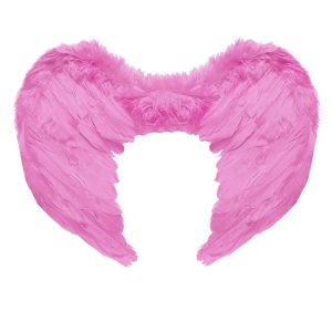 Ali in piuma rosa 50×40 cm