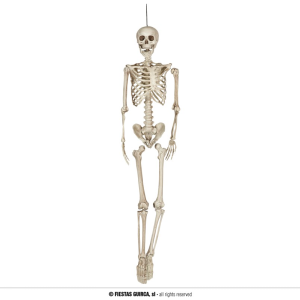 Scheletro modellabile160 cm