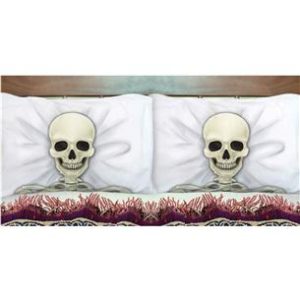 2 federe per cuscino