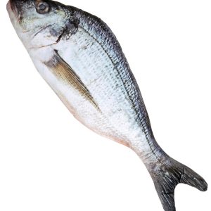 Pesce 55 cm