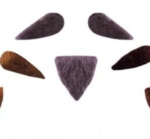 Baffi e pizzetto diplomatico