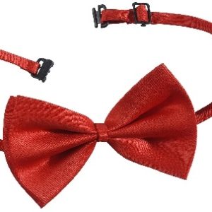 Farfallino lusso rosso regolabile papillon