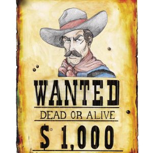 Poster wanted 38×50 cm