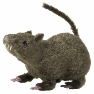 Ratto peloso topo 21 cm