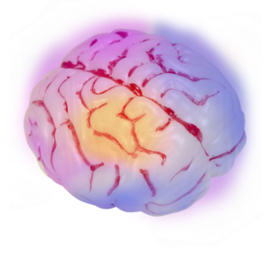 Cervello luminoso