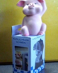 Maialino scaccia fame e grugnisce