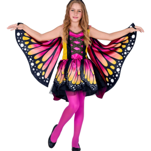 Costume da farfalla
