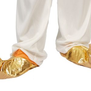 Scarpe da fachiro o aladino