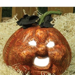 Zucca di halloween luminosa 20cm
