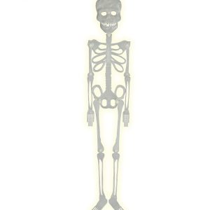 Scheletro fosforescente 75 cm