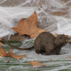 Ratto topo 25 cm – decorazione halloween