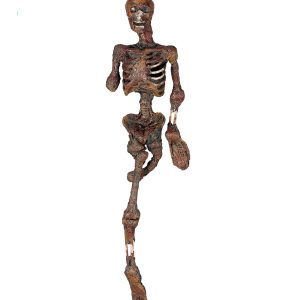 Decorazione di scheletro bruciato