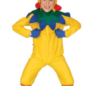 Costume da gallo pulcino