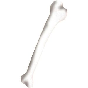 Osso primitivo grande cm45