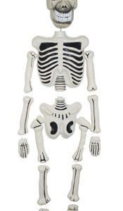 Scheletro 150 cm mobile con luce