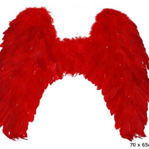 Ali rosse piuma 70 x 65 cm