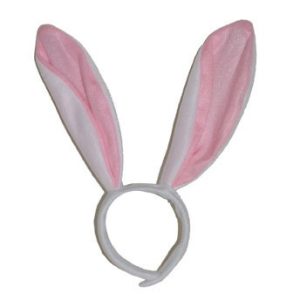 Orecchie coniglio bunny