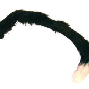 Coda gatto