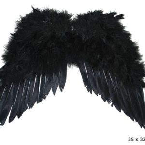 Ali nere piuma 35×32 cm