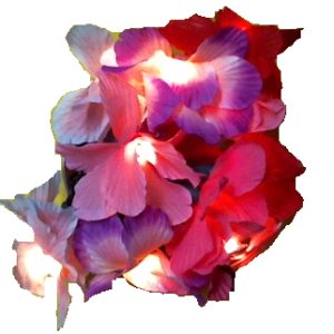 Decorazione 10 flower con luci