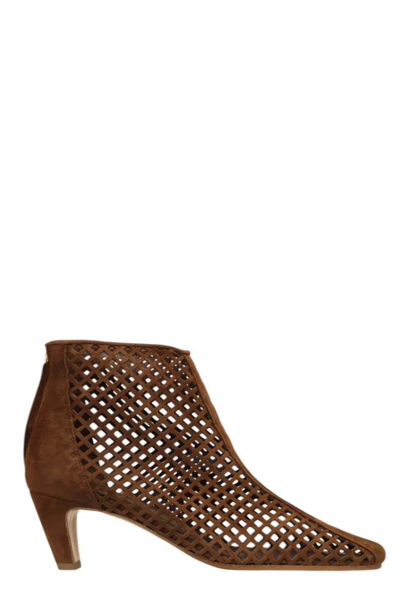 camoscio - choco - immagine 2