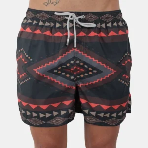 boxer mare clb chapo summ navy