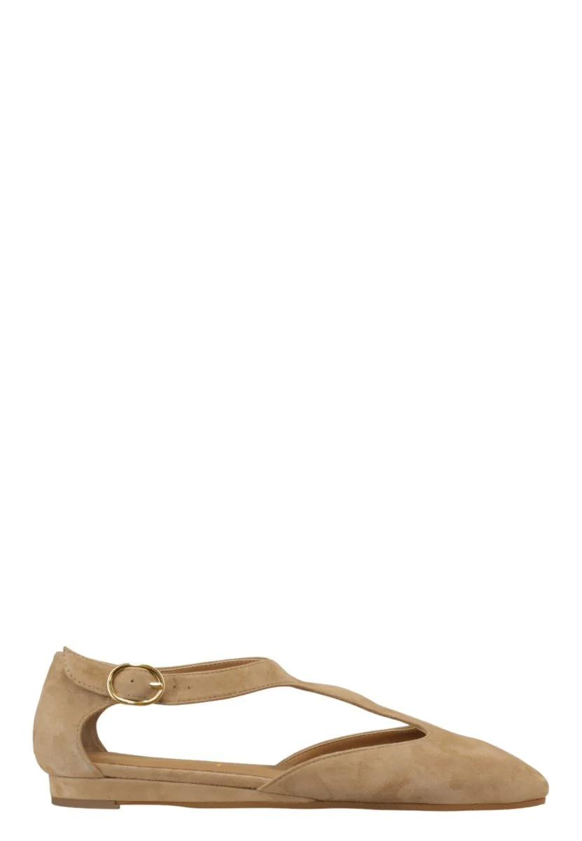 CAMOSCIO - CAMEL - immagine 2