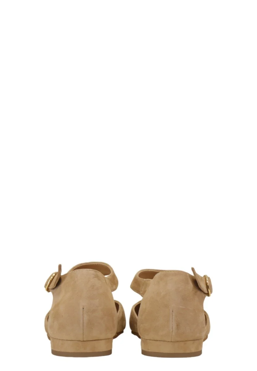 CAMOSCIO - CAMEL - immagine 4