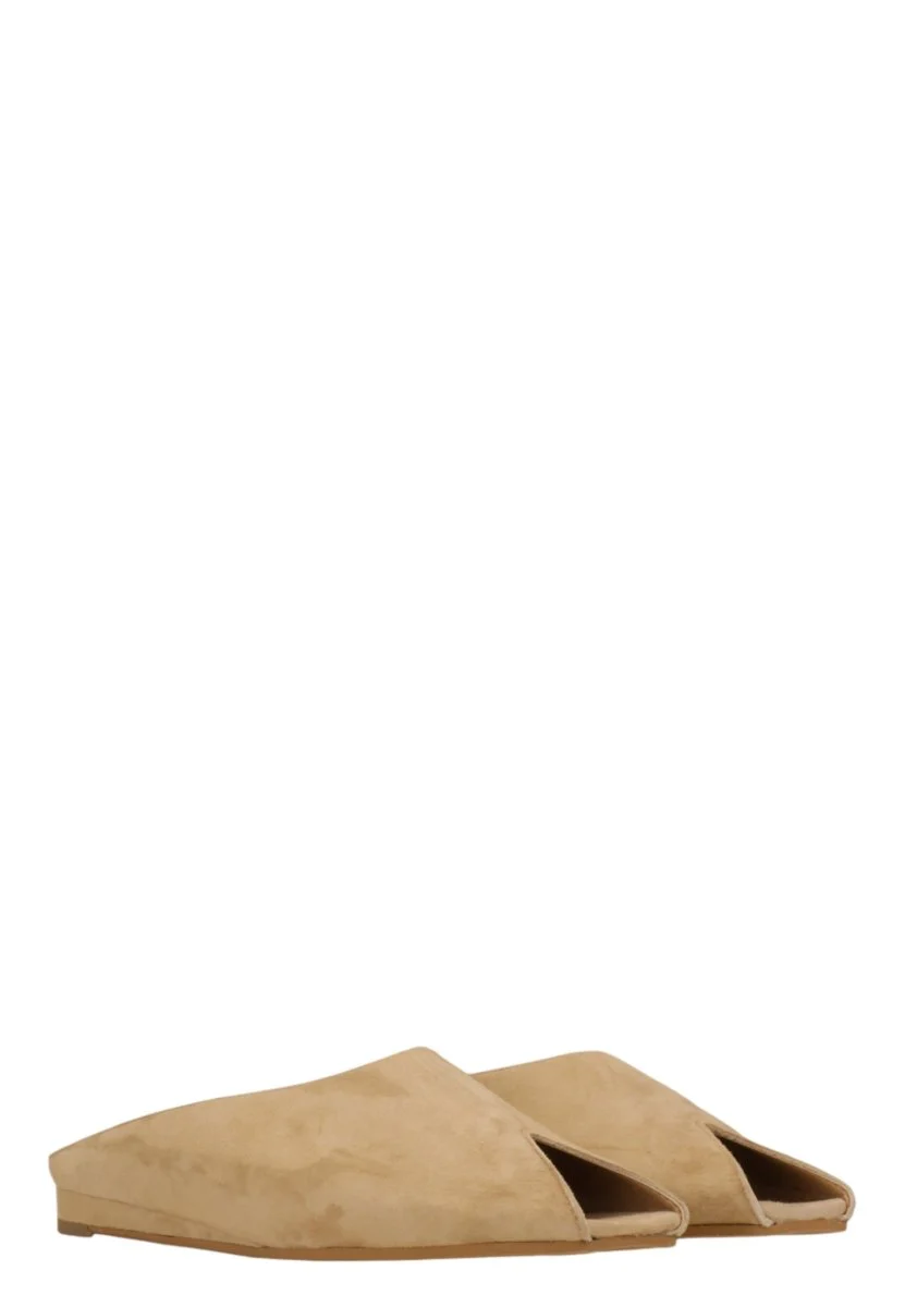 CAMOSCIO - CAMEL - immagine 3