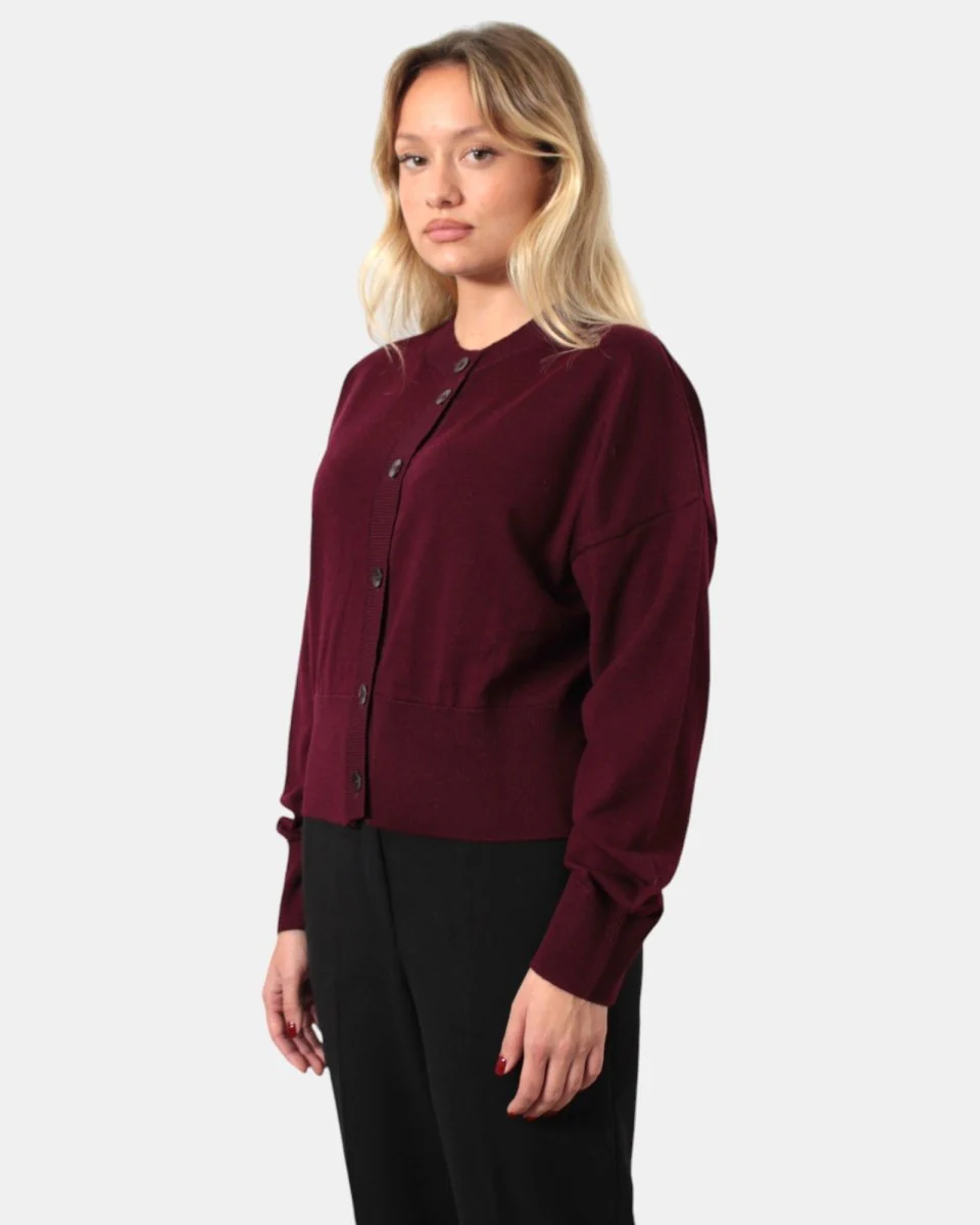 CARDIGAN RASATO DANIELE FIESOLI - 63 VINO - immagine 3