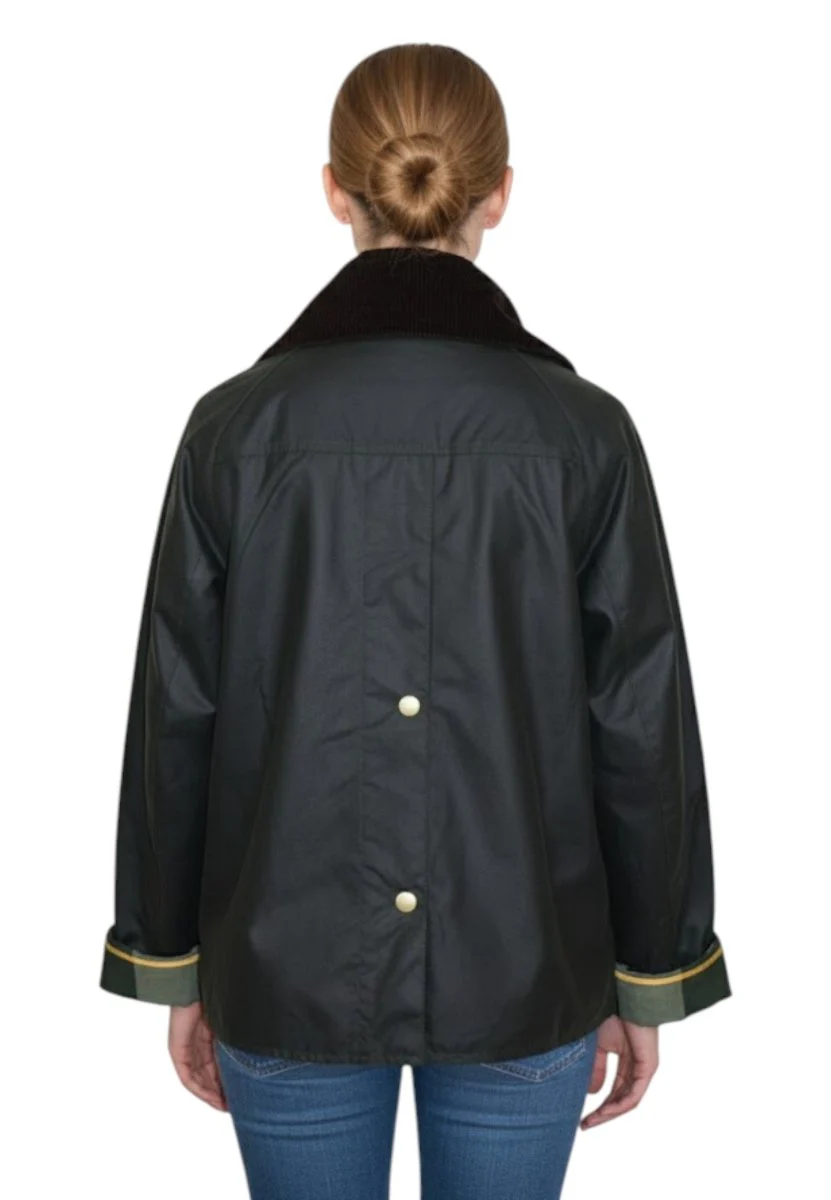 catton - sg51 sage/ancient - immagine 4