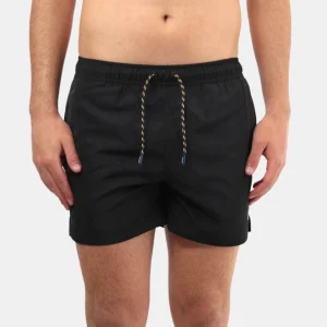 boxer mare kway hazel usy black pure