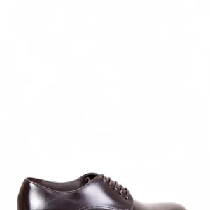 polished clipper - 97 testa di moro