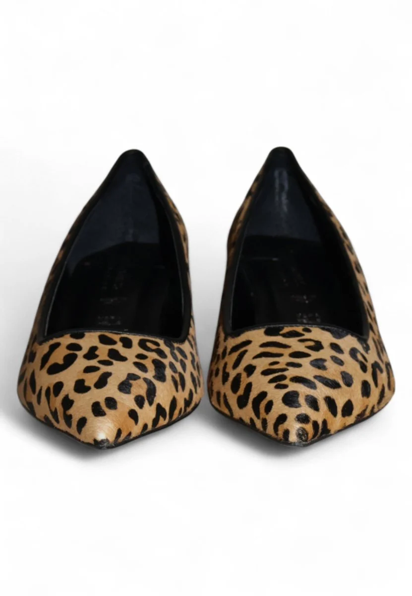 pony - camel - immagine 4